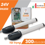 Cổng tự động Roger BE20-210 Italia