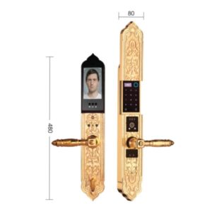 Khóa đại sảnh biệt thự EL9862 Gold/GB